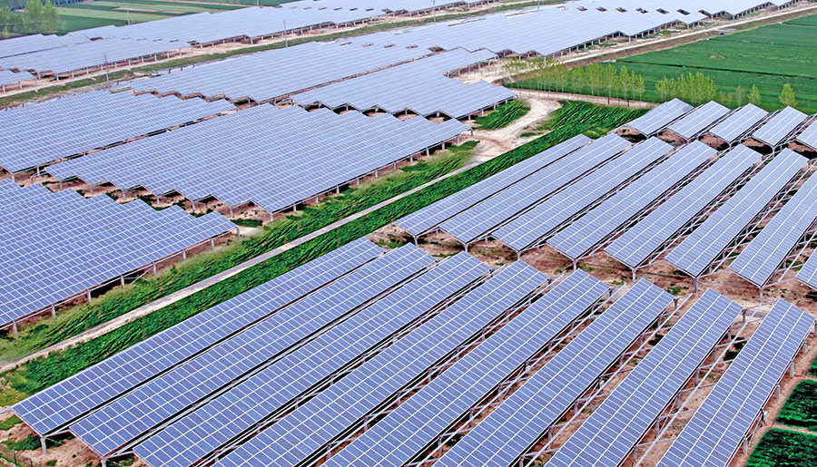   案例分类  China | World-leading Solar Module Manufacturer | Talesun Solar