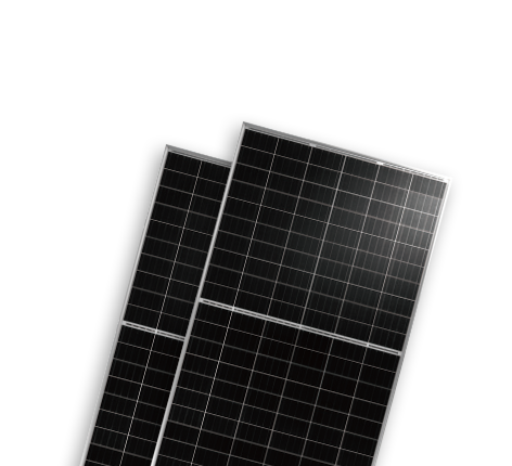   光伏组件分类  P-Type | World-leading Solar Module Manufacturer | Talesun Solar