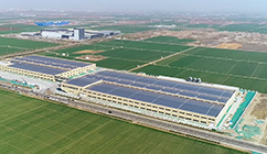   Contact Us | World-leading Solar Module Manufacturer | Talesun Solar