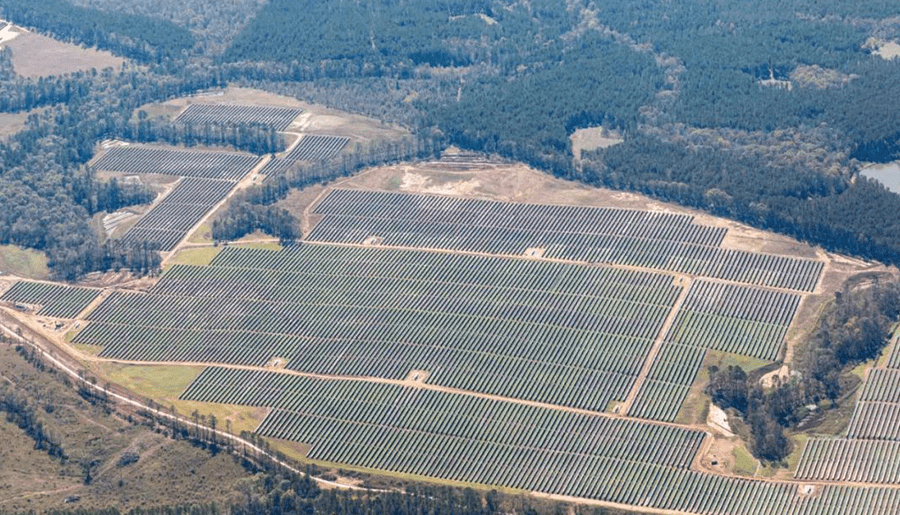 World-leading Solar Module Manufacturer | Talesun Solar