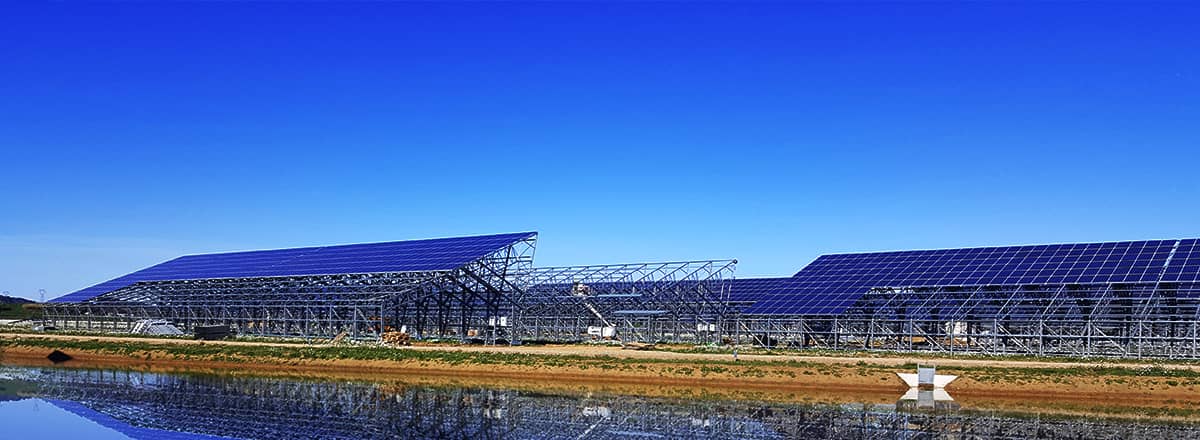   Culture | World-leading Solar Module Manufacturer | Talesun Solar
