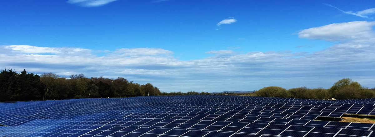   Culture | World-leading Solar Module Manufacturer | Talesun Solar