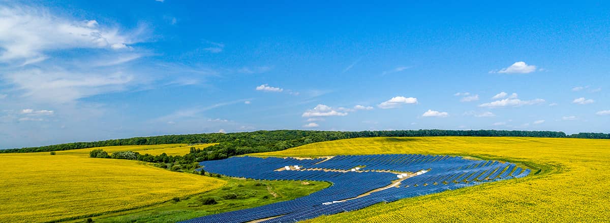   Culture | World-leading Solar Module Manufacturer | Talesun Solar