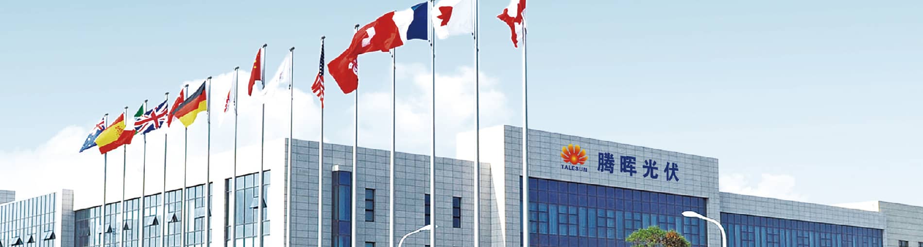   Culture | World-leading Solar Module Manufacturer | Talesun Solar