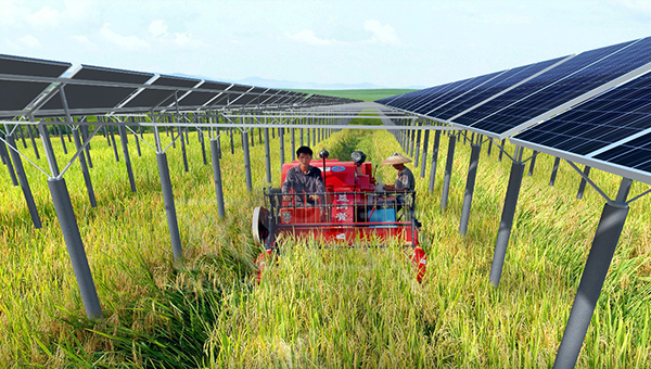   Social Responsibility | World-leading Solar Module Manufacturer | Talesun Solar
