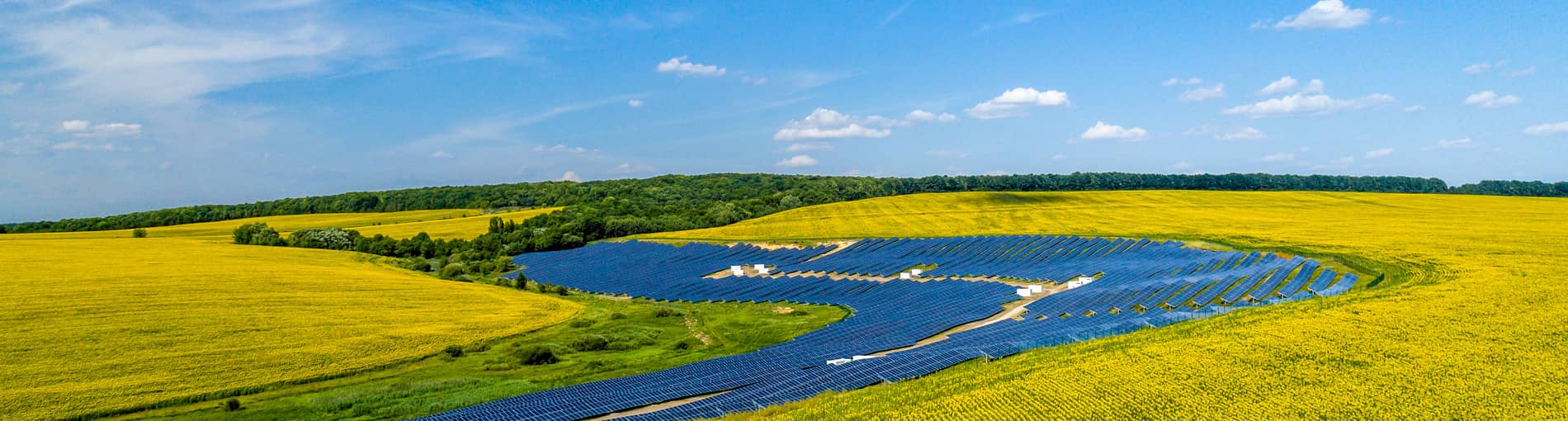   Social Responsibility | World-leading Solar Module Manufacturer | Talesun Solar